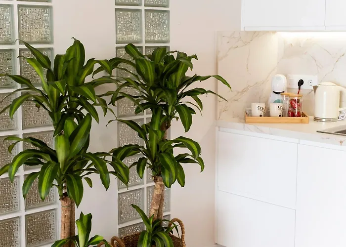 La Casa De Pascasio Semesterbostad