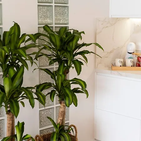 La Casa De Pascasio 別荘